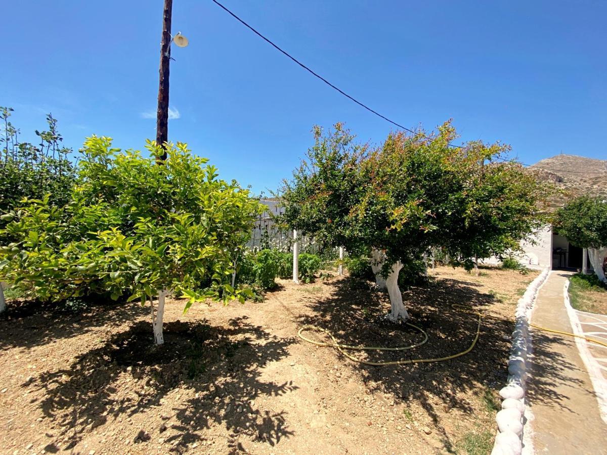 Michail Suites Afiartis Karpathos Kültér fotó