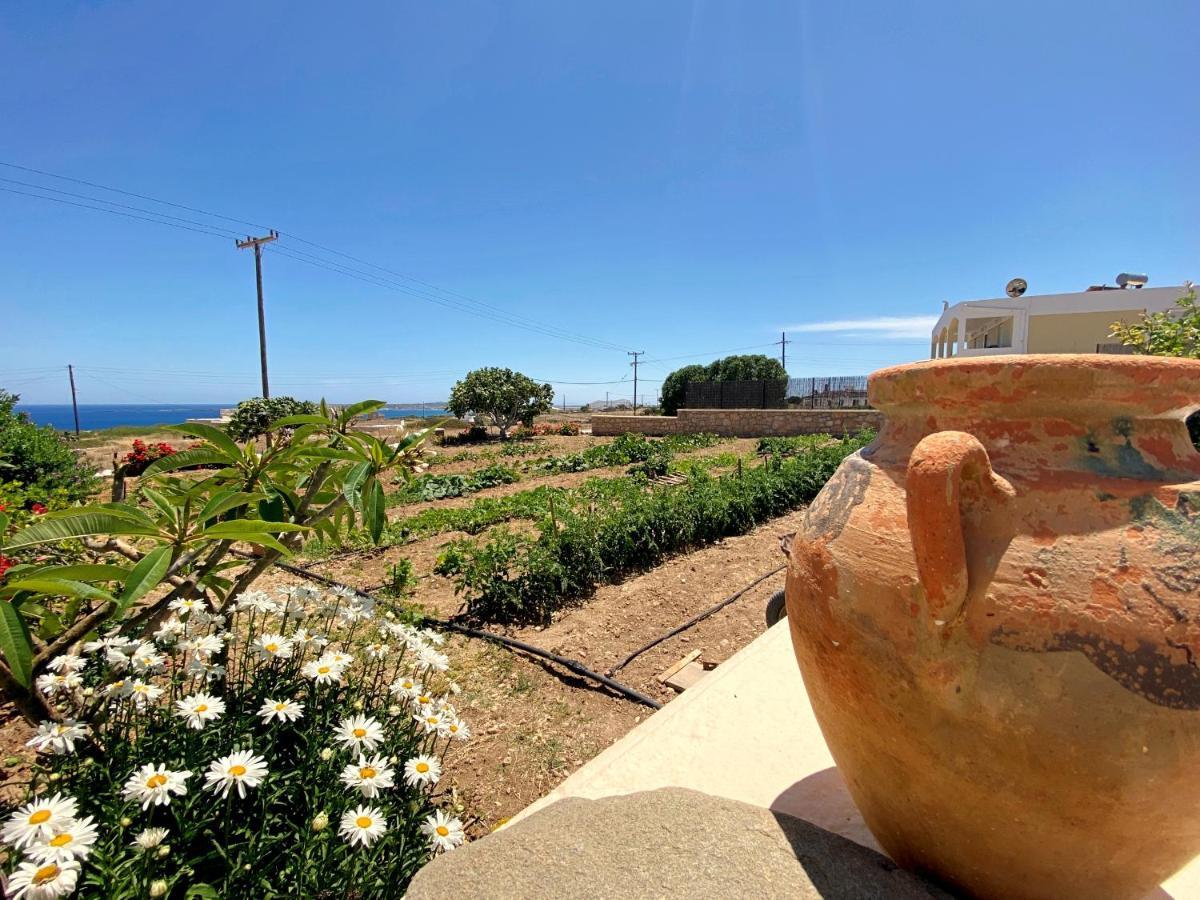 Michail Suites Afiartis Karpathos Kültér fotó